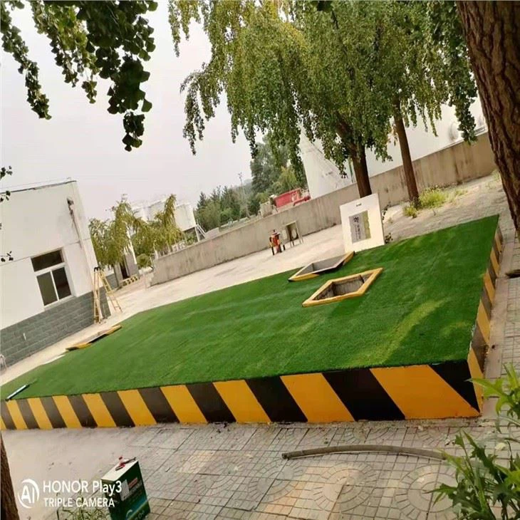 Grass Exterior Interior Flooring