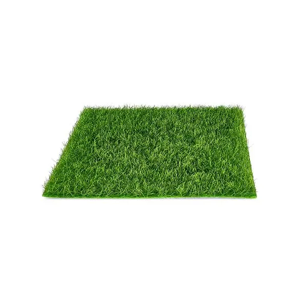 landscape lawn1