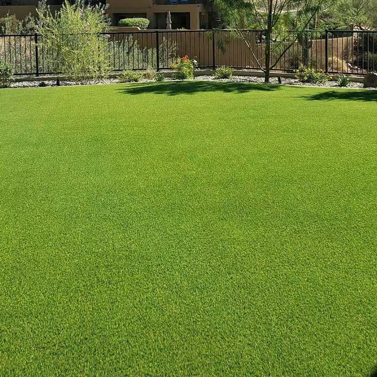 Vantaggi dell'installazione di SyntheticTurf