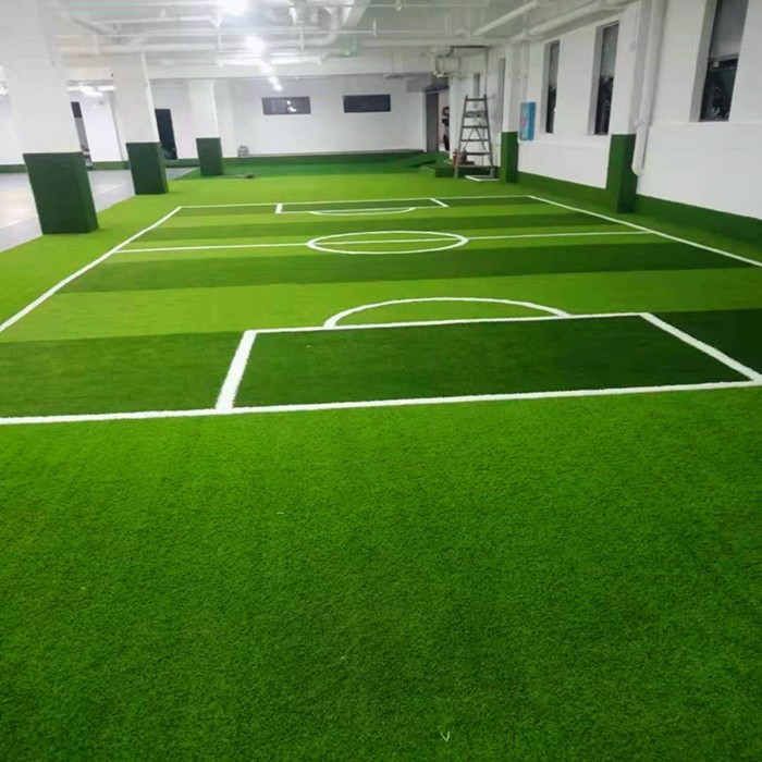 indoor Outdoor Sport turf